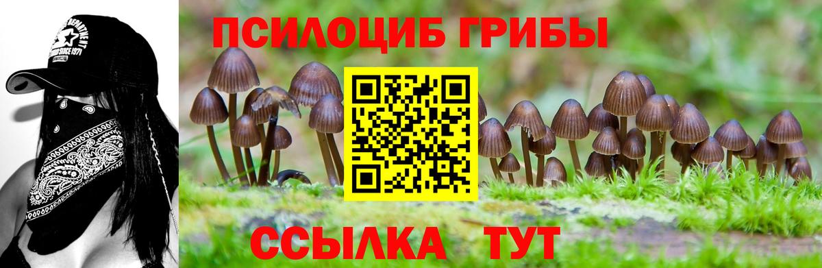 Галлюциногенные грибы Cubensis Костомукша